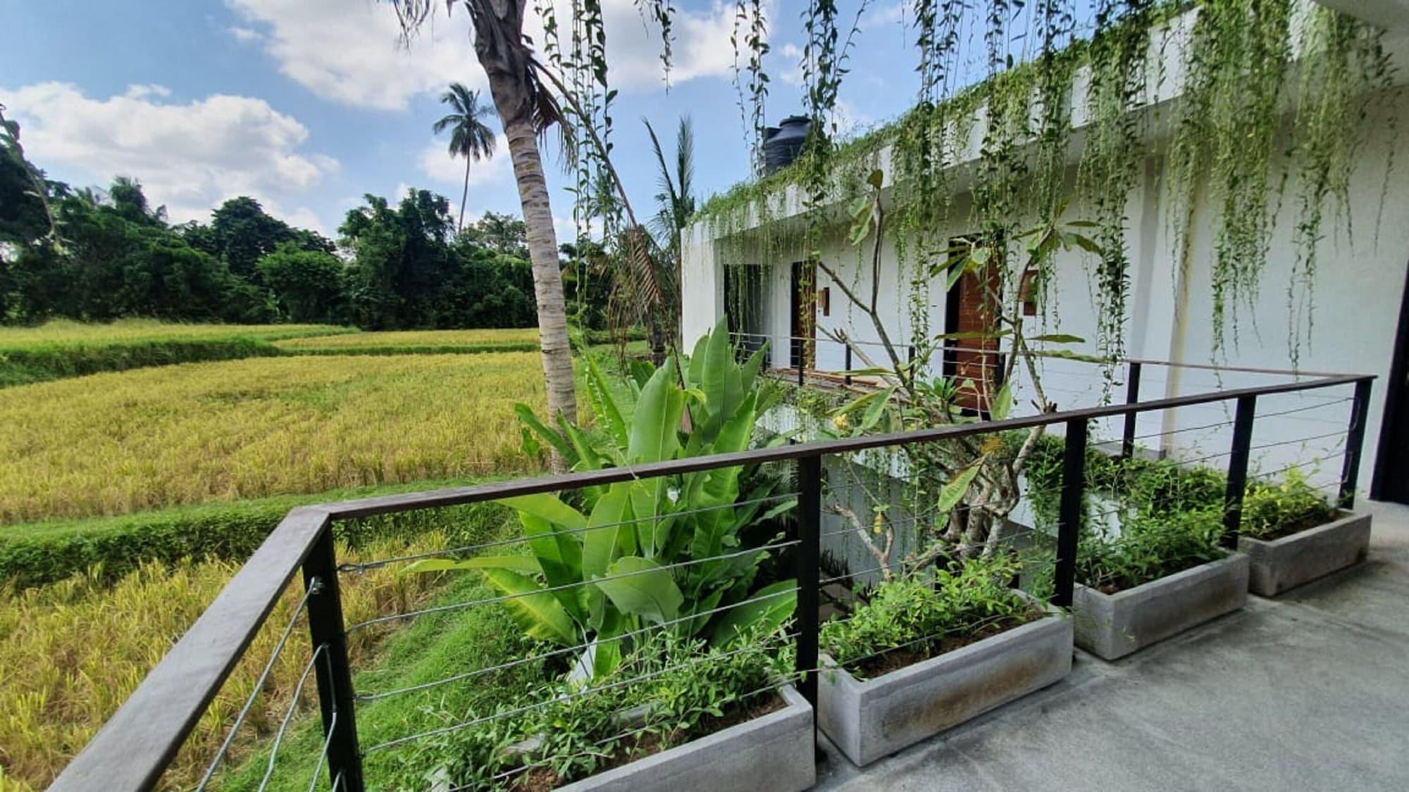 Ayurvedagram Bali Hotel Ubud Eksteriør billede