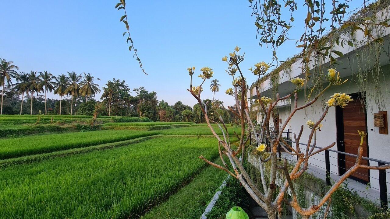 Ayurvedagram Bali Hotel Ubud Eksteriør billede