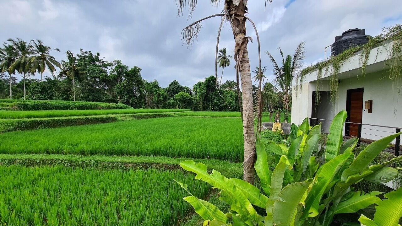 Ayurvedagram Bali Hotel Ubud Eksteriør billede