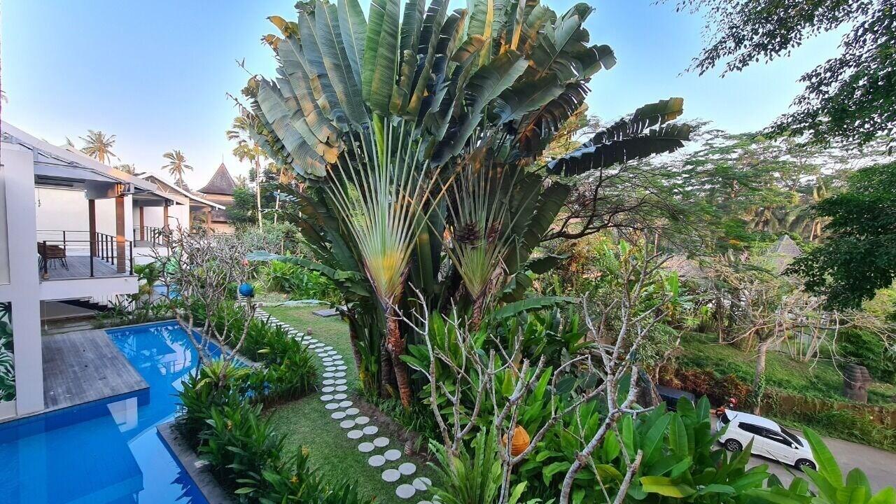 Ayurvedagram Bali Hotel Ubud Eksteriør billede