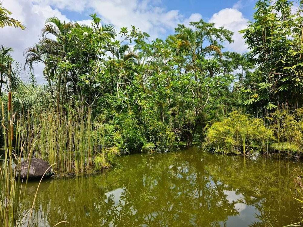 Ayurvedagram Bali Hotel Ubud Eksteriør billede