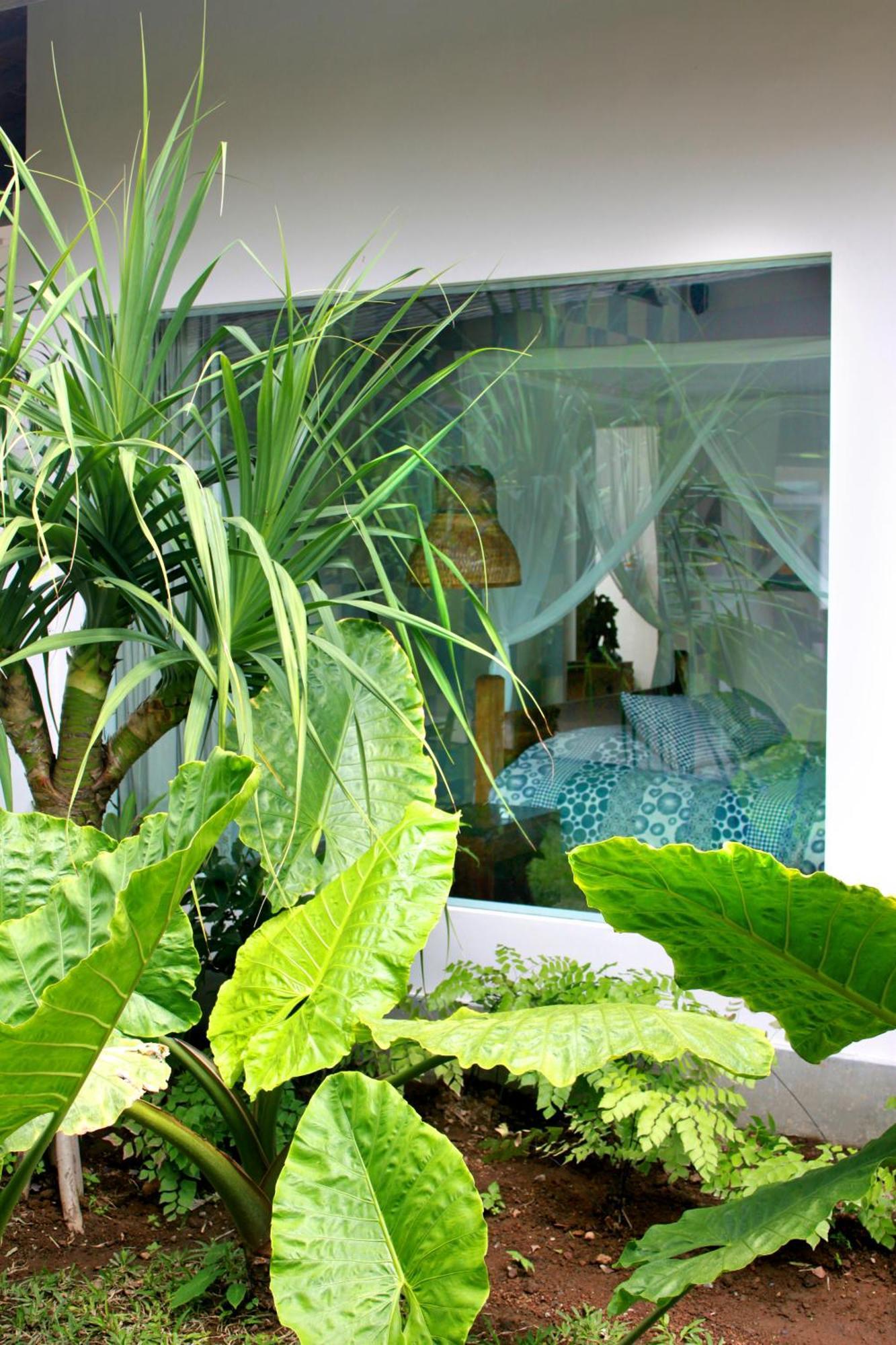 Ayurvedagram Bali Hotel Ubud Værelse billede